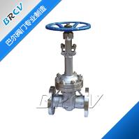 DZ41W型不銹鋼低溫閘閥